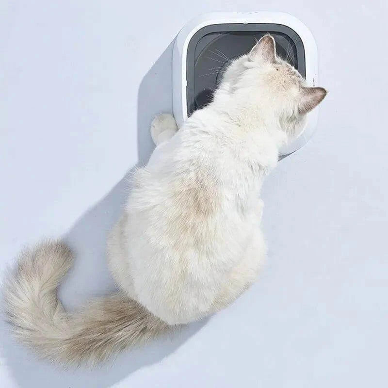 White cat using a sleek, modern pet water bowl designed for hydration and mess-free drinking.