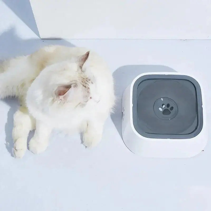 Cat next to EasySip anti-spill water bowl, designed to keep floors dry and pets hydrated.