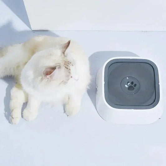 Cat next to EasySip anti-spill water bowl, designed to keep floors dry and pets hydrated.