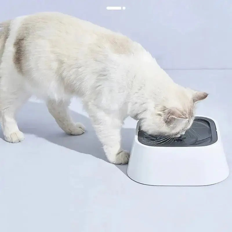Cat using the EasySip anti-spill water bowl for hydration on a clean surface.