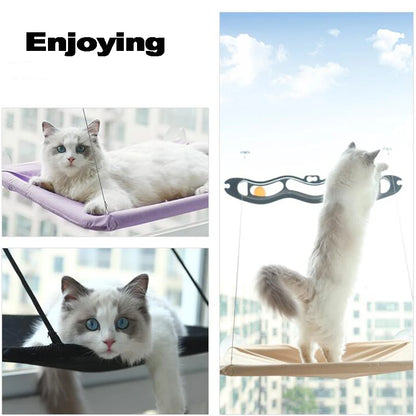 Hangout - Cat Hammock - Alexa Pet Shop