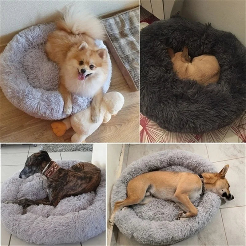 FurEver Pet Bed - Cozy Beds for Dogs & Cats - Alexa Pet Shop