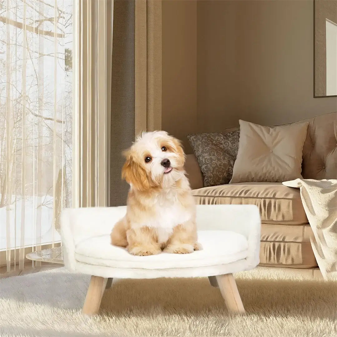 Adorable small dog on a luxury plush cat bed with wooden legs in a stylish home setting.