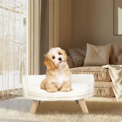 Adorable small dog on a luxury plush cat bed with wooden legs in a stylish home setting.