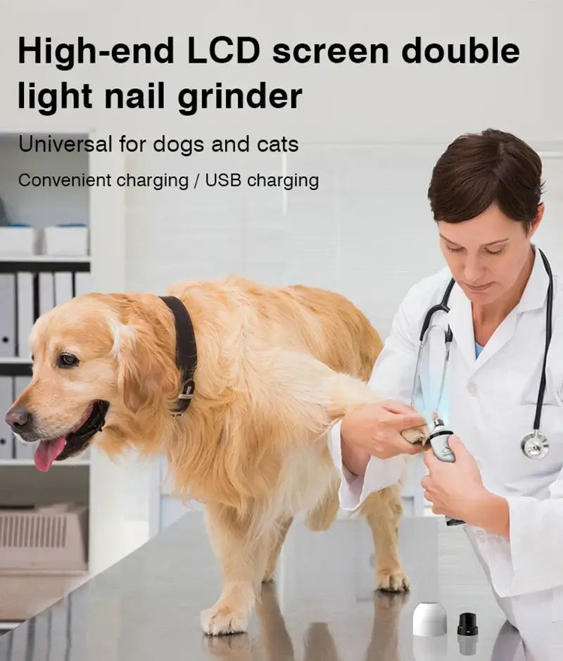 Veterinarian using high-end LCD screen double light nail grinder on a golden retriever for dog and cat nail care.