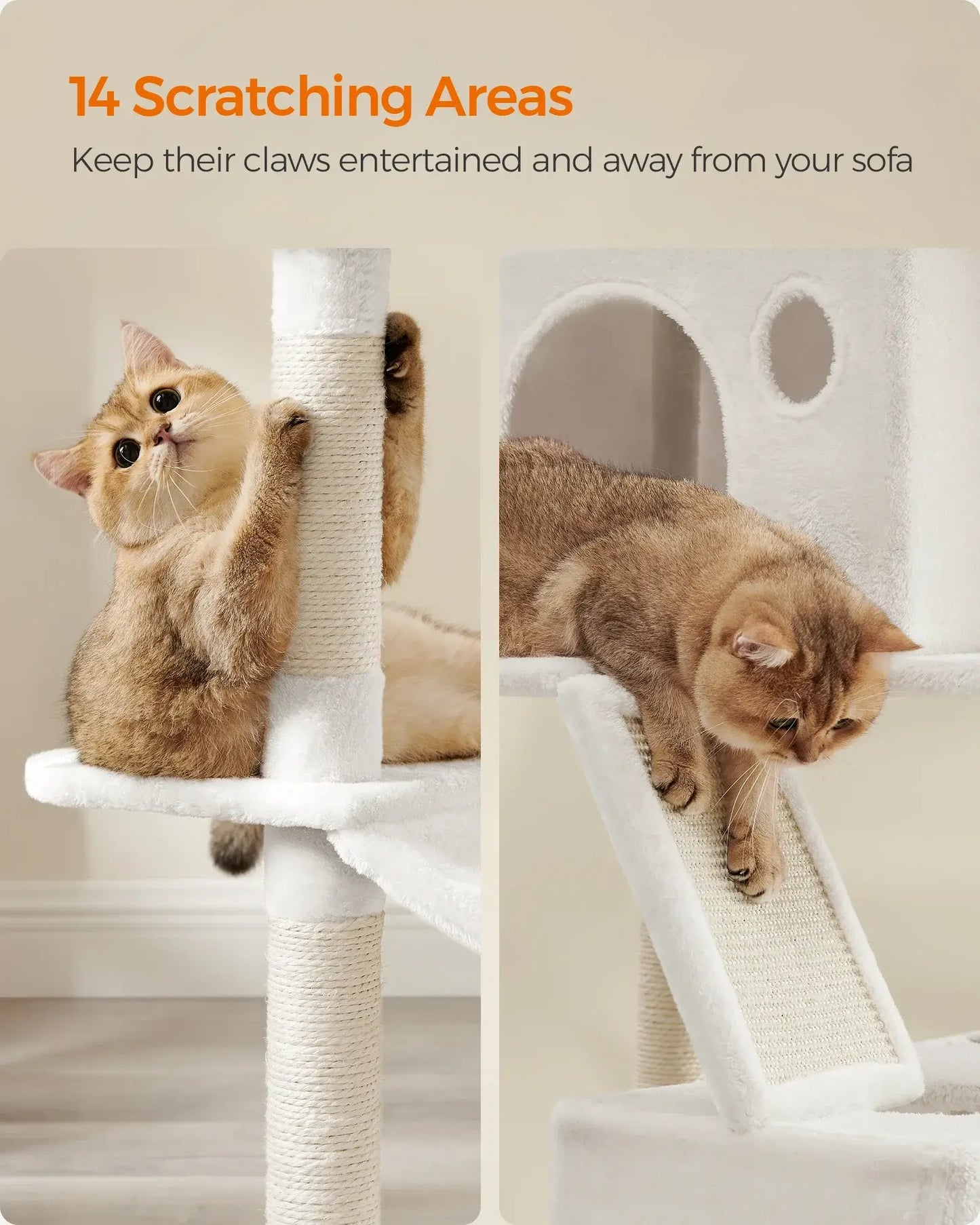 Two cats enjoying a multi-level cat tree with scratching posts and lounging areas.
