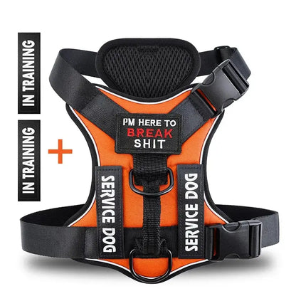 Orange service dog harness with training labels, featuring comfortable padding and durable construction.