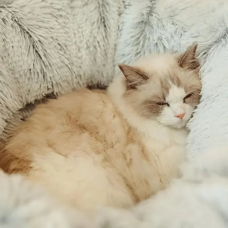 Fluff 'n' Tunnel Cat Bed