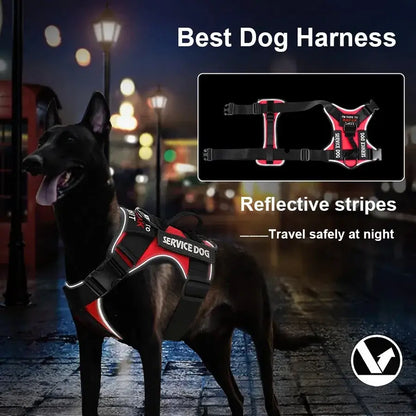 Dog wearing a reflective harness labeled 'Service Dog' against a night background, showcasing safety features.