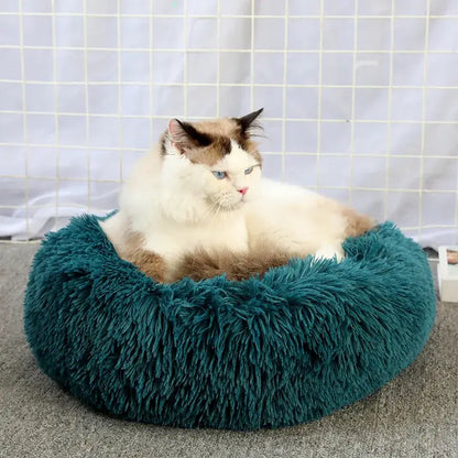 Cozy plush cat bed in teal with a cat resting comfortably, perfect for anxiety relief and cozy naps.