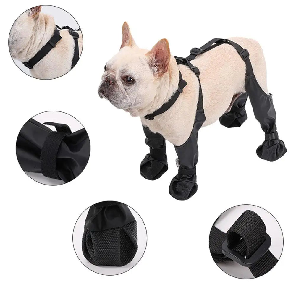 Splashers - Dog Boots - Alexa Pet Shop