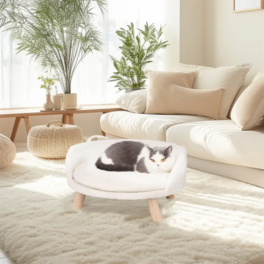 Luxury Cat Bed with Wooden Legs, stylish plush pet chair for small pets, cozy and modern home decor.