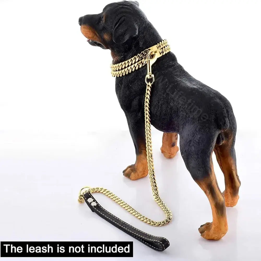 Golden dog chain collar on a Rottweiler figurine, showcasing style and durability. Leash not included.