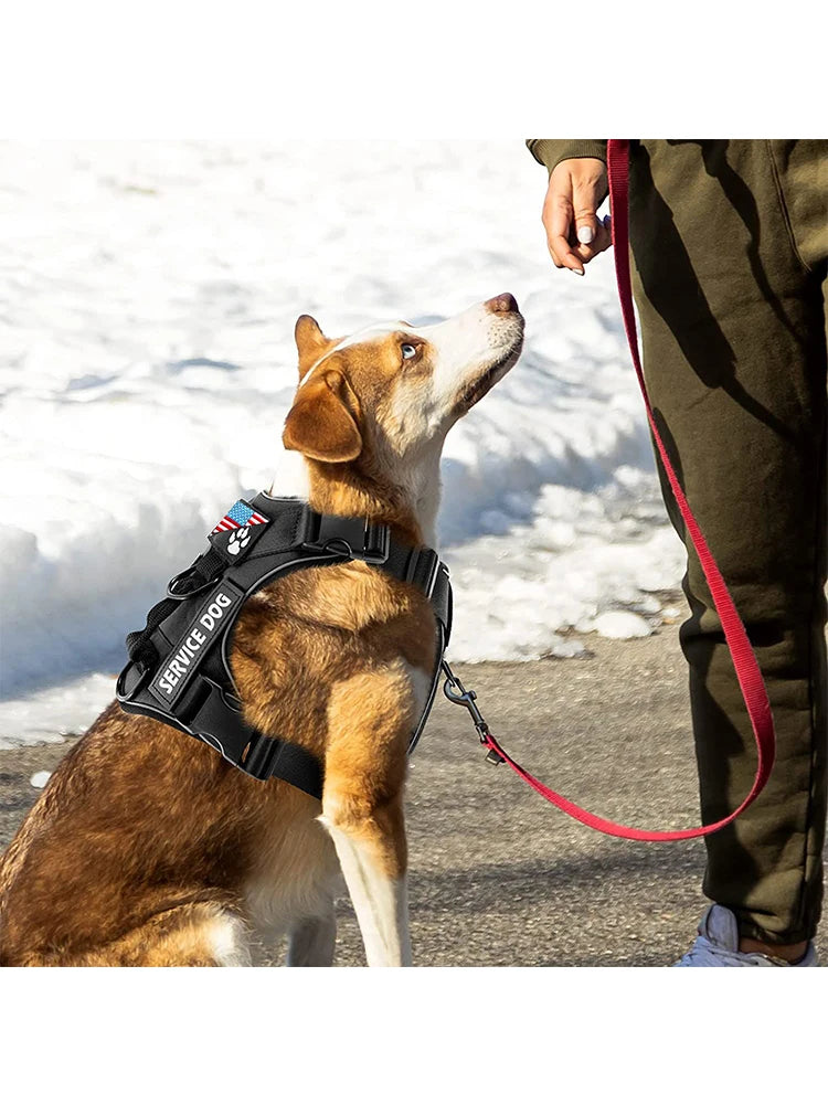 Bark in Style-Reflective Dog Vest