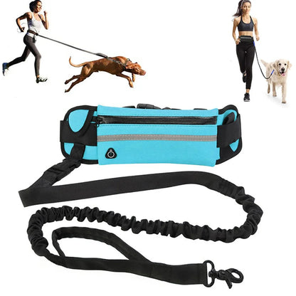 Tail Runner -  Dogs Leash - Alexa Pet Shop