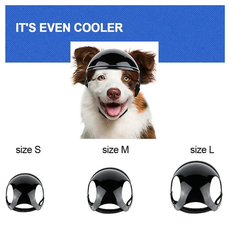 Dog wearing a stylish black motorcycle helmet with size options S, M, and L below, promoting pet headgear for safety.