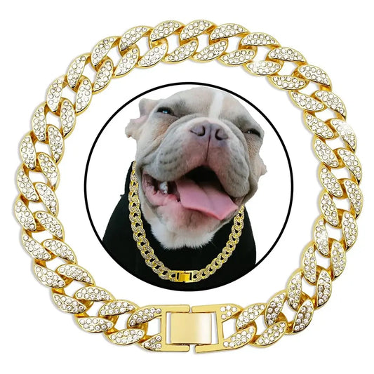 Golden Sparkle Diamond Dog Collar showcased with a happy dog, featuring a luxurious Cuban link design with zirconia diamonds.