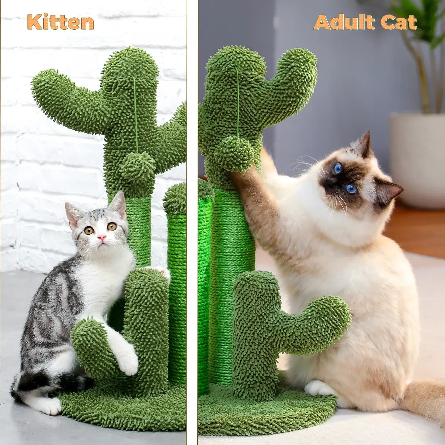 Kitten and adult cat playing with a cactus-themed scratching post, designed for feline entertainment and home decor.