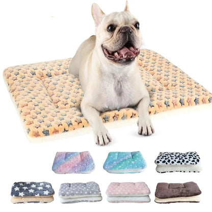 Paw-some Pet Pad - Alexa Pet Shop