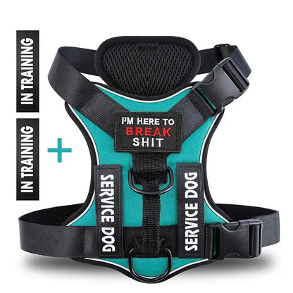 Bright blue service dog harness with training tags, featuring a humorous message for training purposes.