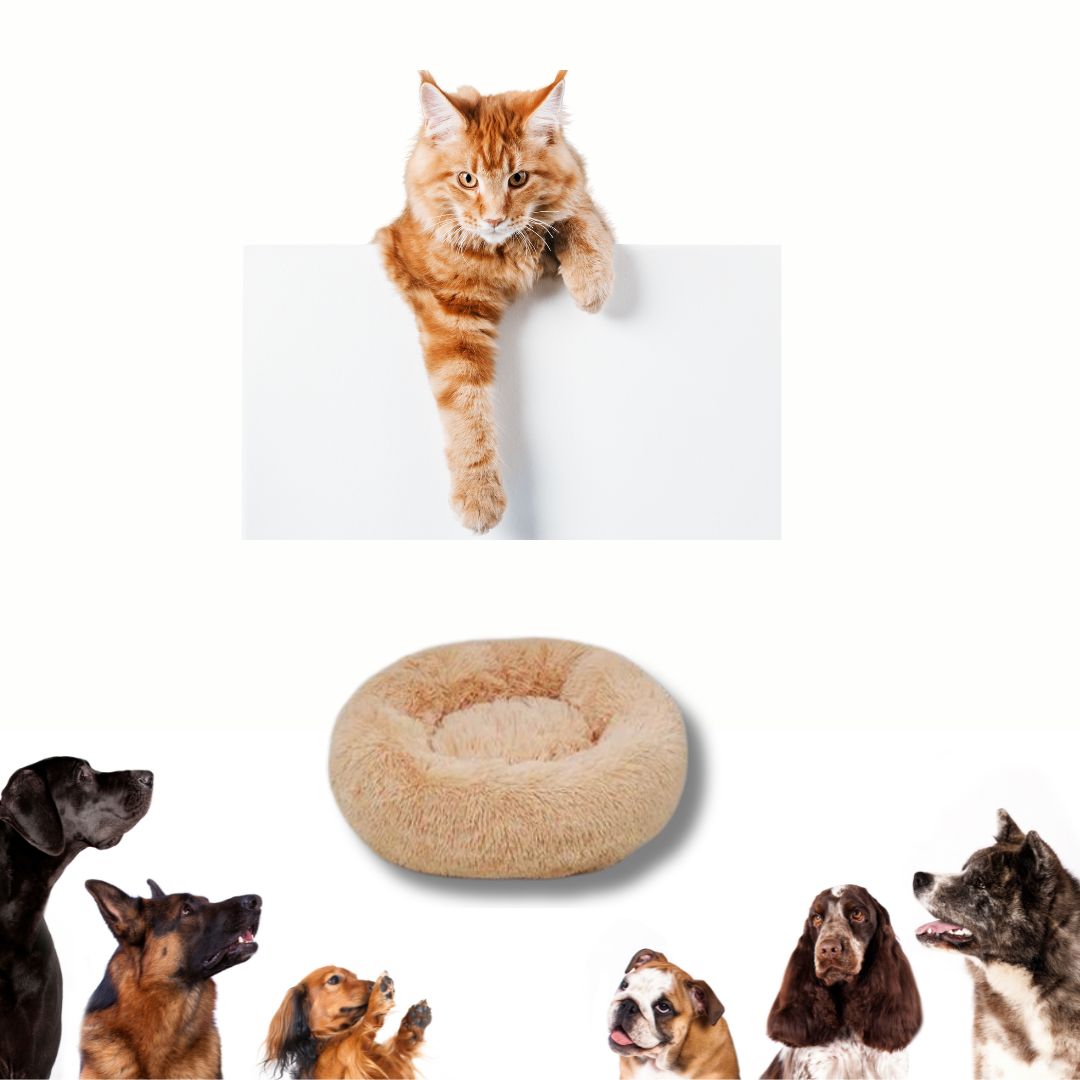 FurEver Pet Bed - Cozy Beds for Dogs & Cats - Alexa Pet Shop