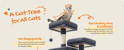 Cat enjoying a 206cm multi-level cat tree with scratching posts and hammock, designed for all feline activities.