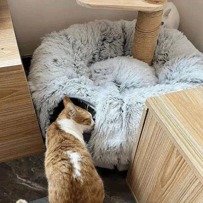 Fluff 'n' Tunnel Cat Bed - Alexa Pet Shop